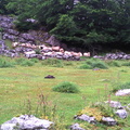 Irumagarrieta (508)